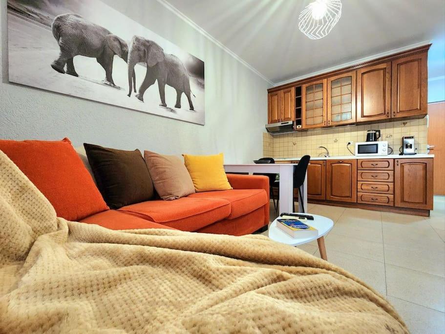 One Bd Flat Near Center With 24H Self Check In Daire Tiran Dış mekan fotoğraf