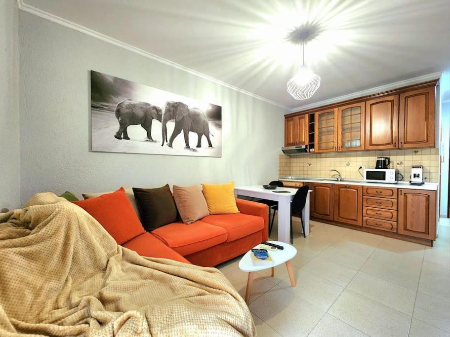 One Bd Flat Near Center With 24H Self Check In Daire Tiran Dış mekan fotoğraf
